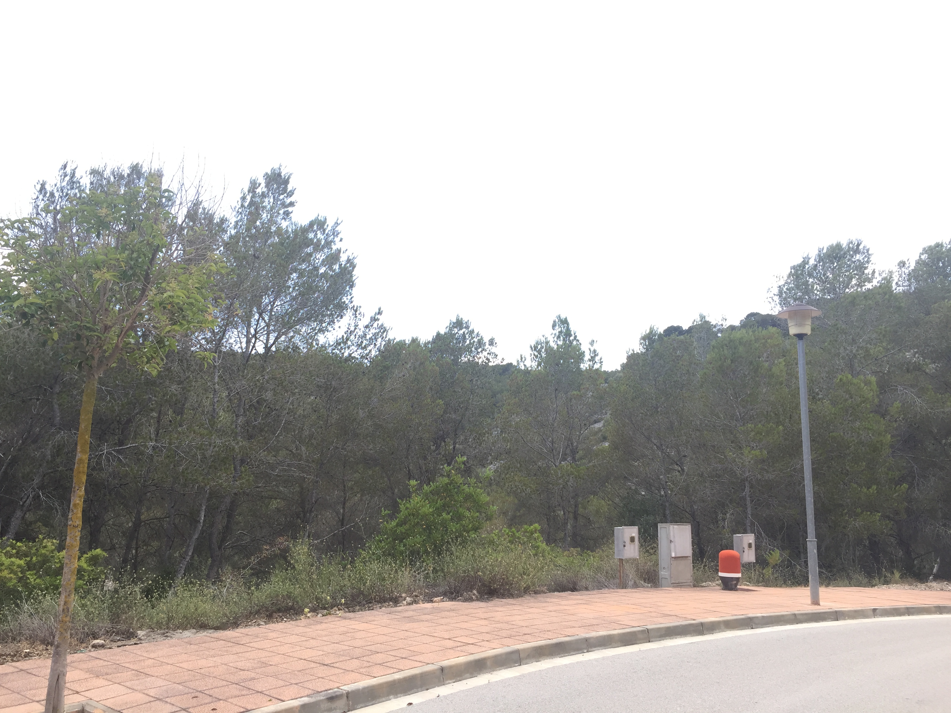 Terreno en venta en Sant Pere de Ribes, Mas Alba Finques Pascual